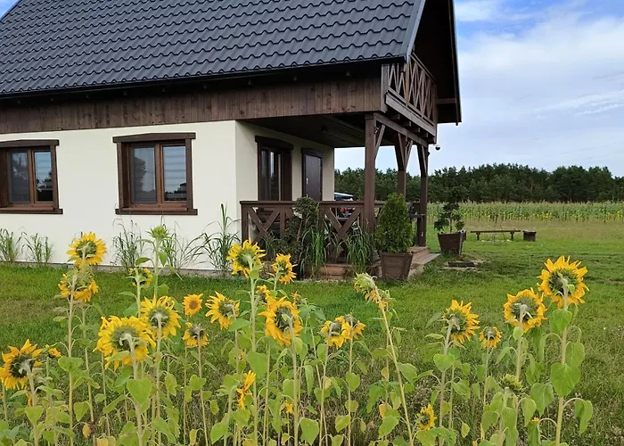 Wdzydzka Chatka